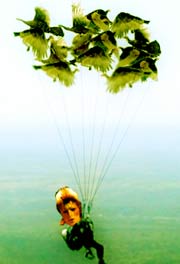 bowie turkey parachute