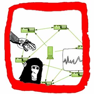 ape data transfers