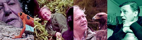 david attenborough