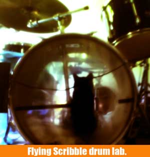 flying scribble