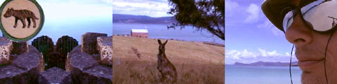 maria island, leroy black with the beach-shades