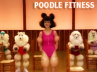 poodle fitness