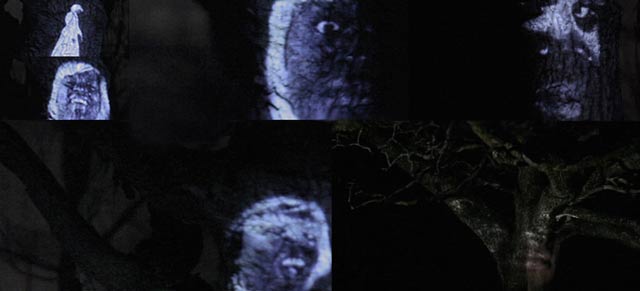 TZU beautiful ghost projections in forest